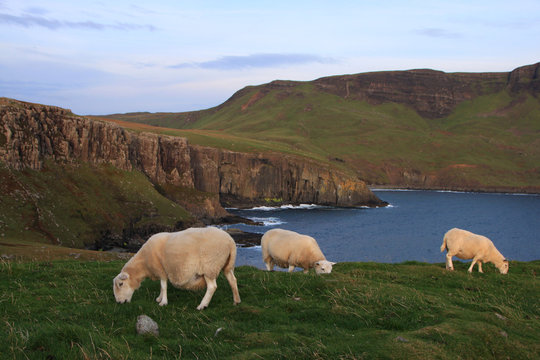 Isola di Skye, Scozia