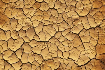 Fotobehang Dry cracked earth © Viktor