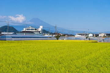 Mount Fuji and rural scenery,Shizuoka Japan