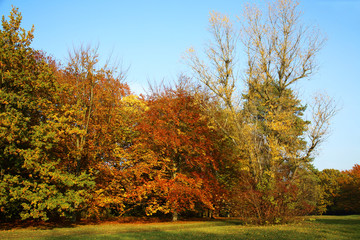 Fototapeta premium Herbstlandschaft