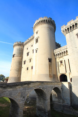 Fototapeta na wymiar Château de Tarascon (Provence)