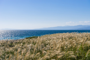 The autumn Katahama shore