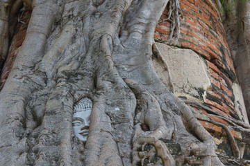 Fototapeta na wymiar ayutthaya temple thailand