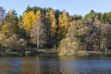 Autumn landscape with lake and forest
