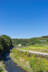 Fototapeta na wymiar Rural scenery of Susono-shi,Japan