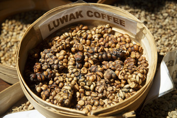 Luwak coffee