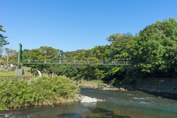 Naklejka na ściany i meble Suspension bridge ,Susono-shi Japan