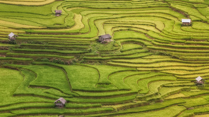 Terraced rice field inside fog and morning ray in Mu Cang Chai