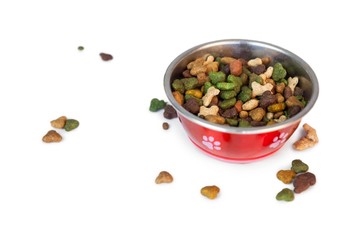 Dog food in bowl