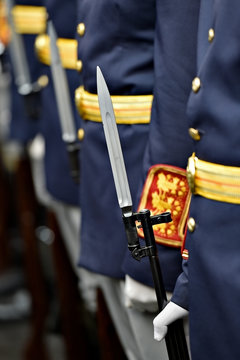 Guard of honor bayonet detail