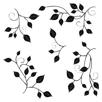 Collection for designers, branches with foliage