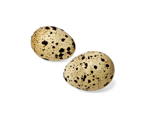 Quail eggs on white background