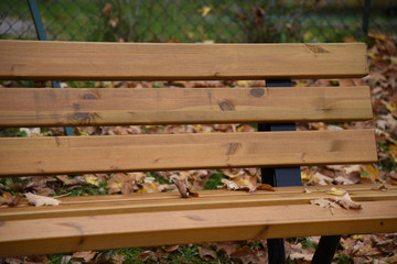 Naklejka premium panca panchina in legno assi di legno giardino