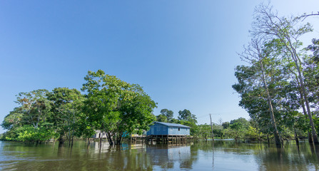 Fototapeta na wymiar Woode houses built on high stilts over water, Amazon rainforest
