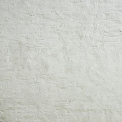 Old Rustic White Brick Wall With Painted Plaster layer Texture