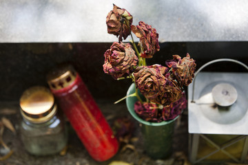 Dead roses near a grave 