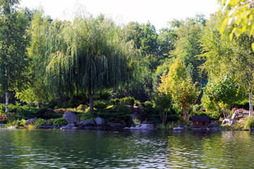 shore of the lake in the park
