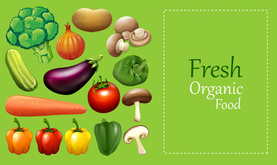 Paper design with many vegetables.