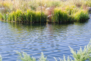 River bank