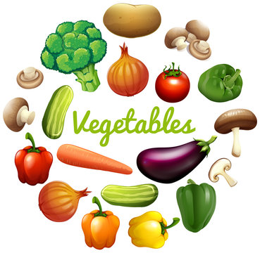 Banner design with fresh vegetables