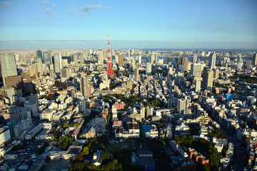日本　東京の都心のスカイラインと東京タワー