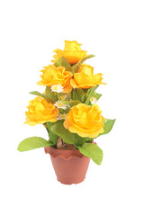 The artificial  flower in the pot on white background