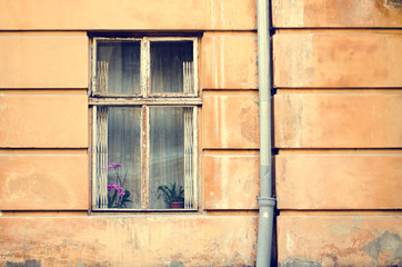 Obraz na płótnie Canvas Old wooden windows frame on cement cracked wall