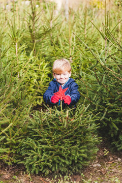 Child Decorating an Outdoors Pine Tree for Christmas