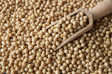 soybeans with wooden scoop