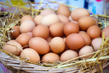 Baskets of Eggs