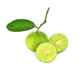Lemon green fresh  leaf on white background