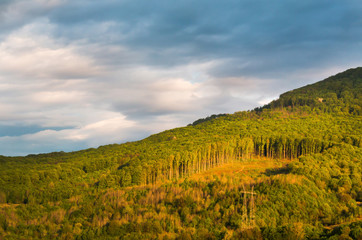 Fototapeta premium Deforestation in the mountains with dark clouds