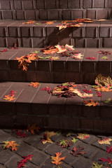 autumn leafs on stairs outside in the sunlight