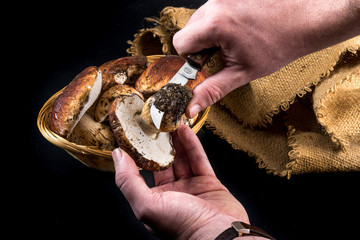 Pulitura funghi porcini con coltello per funghi che toglie la terra dal gambo su sfondo nero