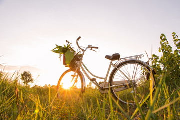 Fototapeta na wymiar Flower on front of Bicycle at sunset beautiful landscape vintage