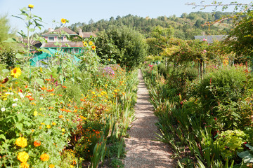 Fototapeta na wymiar Monet's garden in Giverny