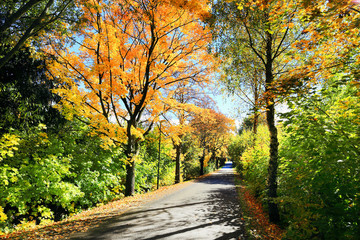 Beautiful autumn Landscape from the central Bohemia