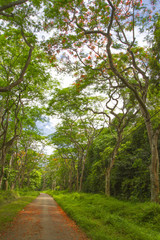 Landscape in Van Long natural reserve in Ninh Binh, Vietnam. Vietnam landscapes.