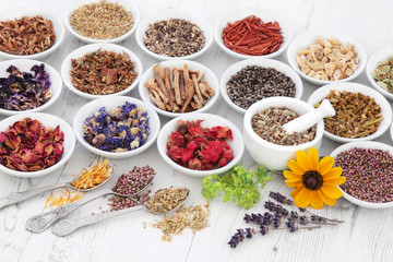Apothecary Flowers and Herbs