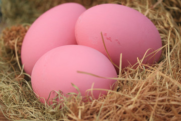 pink pickled preserved egg