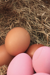 pink pickled preserved egg