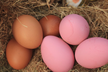 pink pickled preserved egg