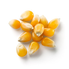 Corn grain isolated on white background. With clipping path.