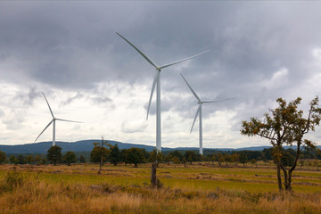 Fototapeta na wymiar Wind turbine on the green grass over the blue clouded sky