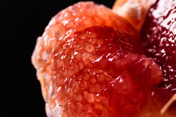 Grapefruit slice on black background