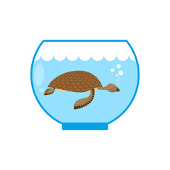 Sea turtle in an aquarium. Water animal Pet in captivity.