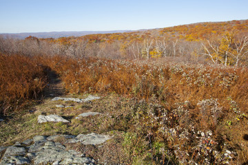 An autumn view of the Berkshire Mountains in Western Massachusetts.