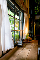 A small plant pot displayed in the window
