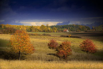 Jesienne Piękno  © Wojciech Lisiński