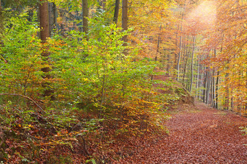 Herbst